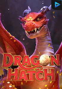 Bocoran RTP Dragon Hatch di Timur188 Generator RTP Live Slot Resmi dan Akurat