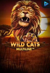 Bocoran RTP Wild Cat Multiline di Timur188 Generator RTP Live Slot Resmi dan Akurat